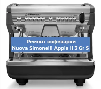 Чистка кофемашины Nuova Simonelli Appia II 3 Gr S от кофейных масел в Волгограде